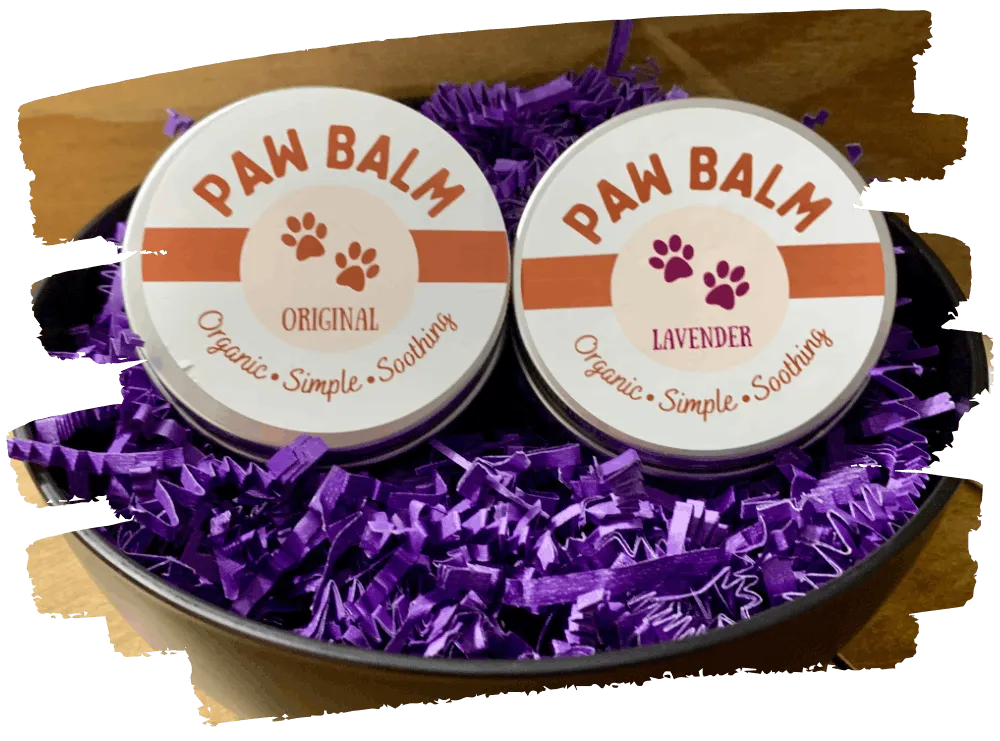 Organic Paw Balm Hero Image